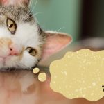 今すぐ英語に慣れるための裏技!英語でつぶやく独り言フレーズ集