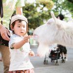 学校では習わない！動物に関する意外な英語・呼び方・数え方