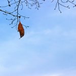 英語で「結局」ってどのように表現する？すぐに使える15のフレーズ